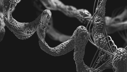 low volume dispensing of proteins and peptides, proteins peptides micro-array