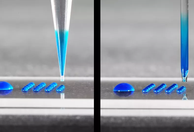 aspiration of liquid into different dispenser capillaries and dispensing multiple nanoliter droplets with a microarrayer