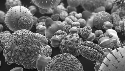 low volume dispensing of allergenes, allergene micro-array