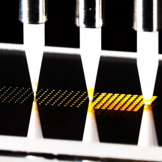 PinDMD - contact spotting with different sizes of pins using a pin spotter