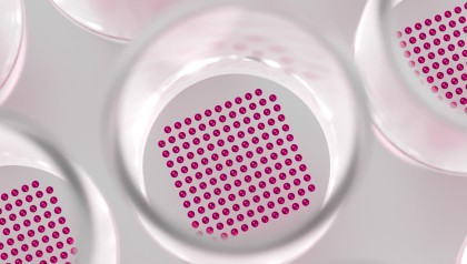 a high density micro-array in a 96 well MTP