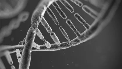 Reliable and reproducable microdispensing of DNA RNA and oligos