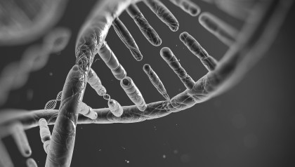 low volume dispensing of nucleid acids, DNA micro-array
