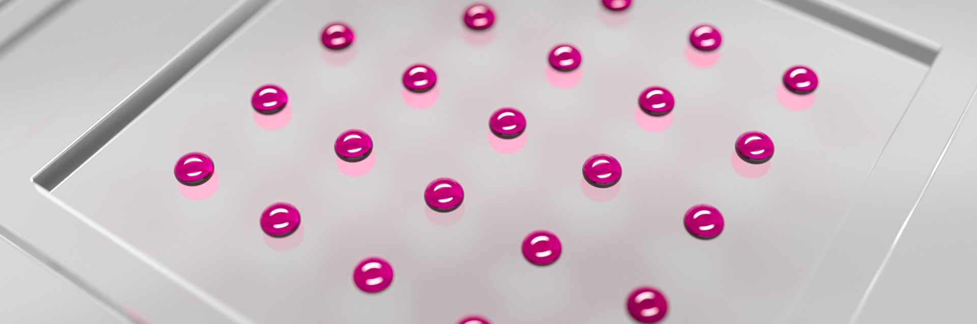Disposable Plastic Biochip (Closeup)