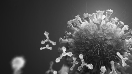 low volume dispensing of antigenes, antigene micro-array