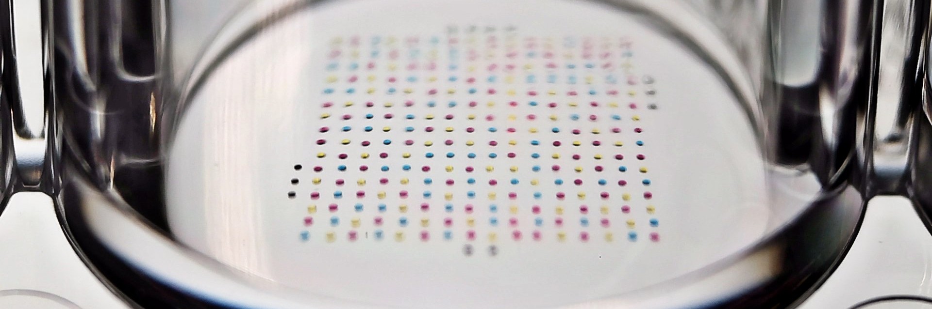 micro array of picoliter droplets within a 96 well MTP, very close macro view